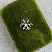 Load image into Gallery viewer, c. 1910s 10k Gold Seed Pearl Brooch