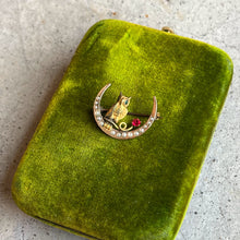 Load image into Gallery viewer, c. 1890s Crescent Moon Owl Brooch