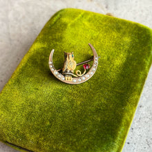 Load image into Gallery viewer, c. 1890s Crescent Moon Owl Brooch