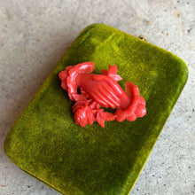 Load image into Gallery viewer, c. 1880s-1890s "Coral" Celluloid Fede Brooch