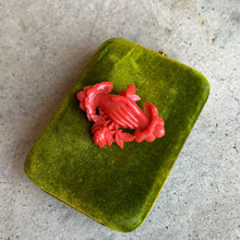 Load image into Gallery viewer, c. 1880s-1890s "Coral" Celluloid Fede Brooch