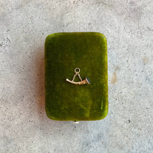 Load image into Gallery viewer, Mid-19th c. Horn Bloodstone Fob