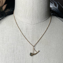 Load image into Gallery viewer, Mid-19th c. Horn Bloodstone Fob