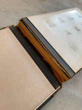 Load image into Gallery viewer, 1895 Princeton University Yearbook