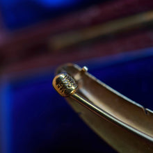 Load image into Gallery viewer, c. 1910s-1920s Wordley Allsopp & Bliss 14K Gold Sapphire Feather Brooch