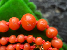 Load image into Gallery viewer, Early 20th c. Coral Bead Necklace