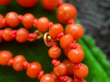 Load image into Gallery viewer, Early 20th c. Coral Bead Necklace
