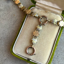 Load image into Gallery viewer, c. 1880s Gold Filled Daisy Book Chain