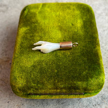 Load image into Gallery viewer, 19th c. Mano Cornuto Mother of Pearl Pendant