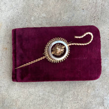 Load image into Gallery viewer, 19th c. Large Shepherd's Crook + Fly Brooch