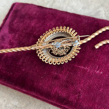 Load image into Gallery viewer, 19th c. Large Shepherd's Crook + Fly Brooch