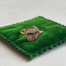 Load image into Gallery viewer, 14k Gold Essex Crystal Dog Conversion Ring