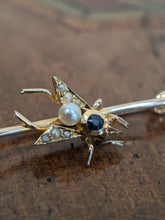 Load image into Gallery viewer, 1900s 14k Sapphire + Pearl Fly Pin