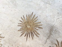 Load image into Gallery viewer, 1920s Black + Gold Metallic Embroidered Sun Shawl