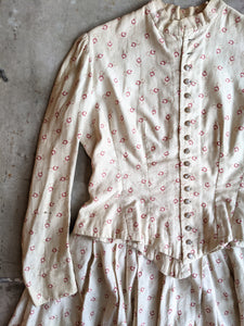 1880s Soft Cotton Printed Dress