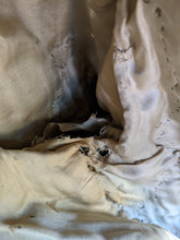 Load image into Gallery viewer, 1908-1909 Beaded Silk Gown