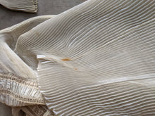 Load image into Gallery viewer, 1900s Ethereal Silk Pleated Dress