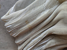 Load image into Gallery viewer, 1900s Ethereal Silk Pleated Dress