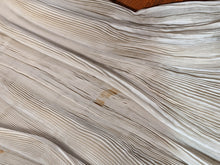 Load image into Gallery viewer, 1900s Ethereal Silk Pleated Dress
