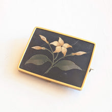 Load image into Gallery viewer, 19th c. 14k Gold Pietra Dura Brooch