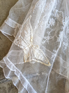 c. 1910s Net Lace Butterfly Dress