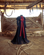 Load image into Gallery viewer, c. 1900s Regency Revival or Fancy Dress Gown