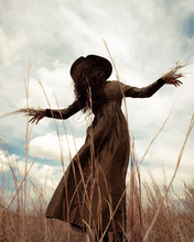 Load image into Gallery viewer, c. 1880s Brown Calico Dress