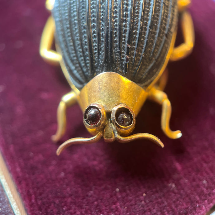 Victorian 14k Gold Beetle Brooch