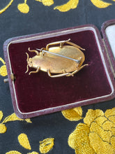 Load image into Gallery viewer, Victorian 14k Gold Beetle Brooch