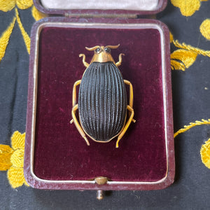 Victorian 14k Gold Beetle Brooch