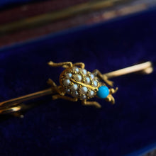 Load image into Gallery viewer, c. 1890s-1900s 14k Gold Turquoise Pearl Beetle Pin