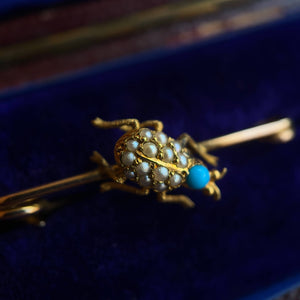 c. 1890s-1900s 14k Gold Turquoise Pearl Beetle Pin