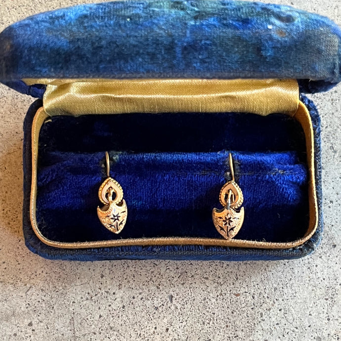 c. 1890s Taille d'Epargne Forget Me Not Earrings