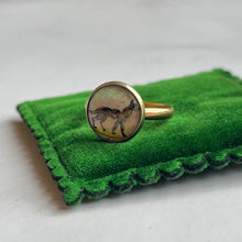 Load image into Gallery viewer, 14k Gold Essex Crystal Dog Conversion Ring