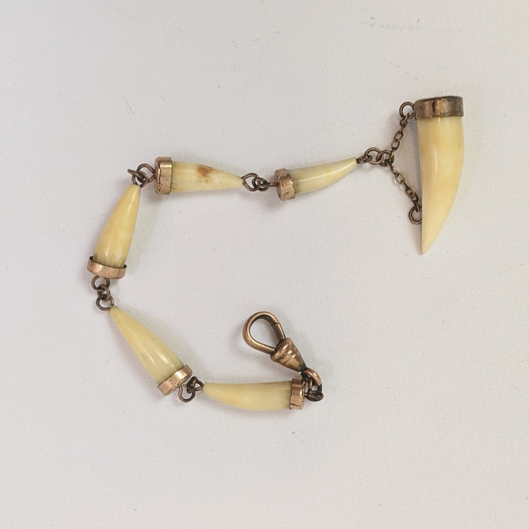 Victorian Bone Tooth Watch Fob Chain with Dog Clip
