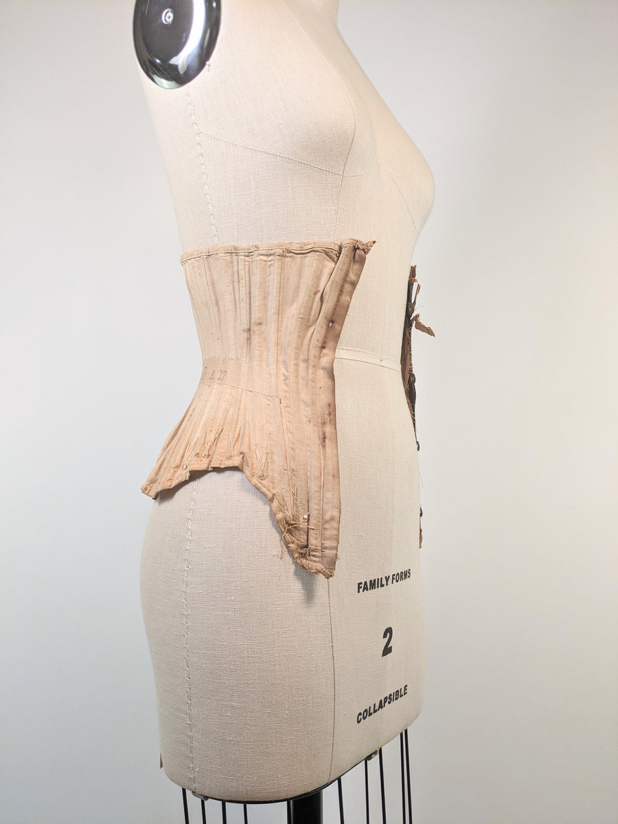 R&G Corset Study + Display Witchy Vintage