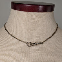 Load image into Gallery viewer, Late 19th C. White Gold Filled Chain