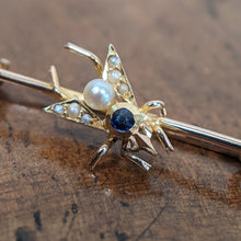 Load image into Gallery viewer, 1900s 14k Sapphire + Pearl Fly Pin