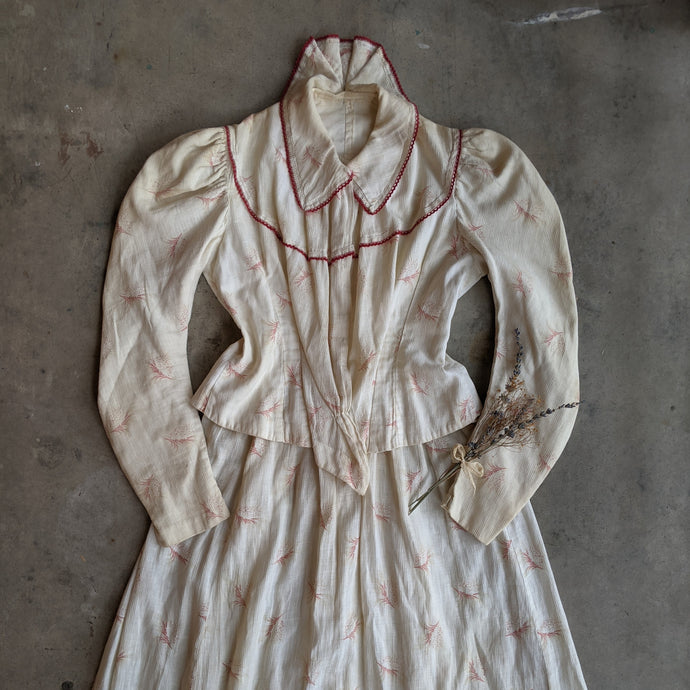 Turn of the Century Cotton Printed Dress