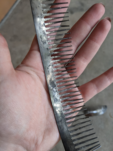 19th C. Silver Hair Comb Set